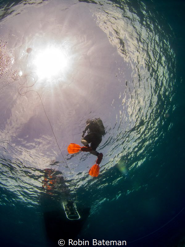 Hang Time

Safety Stop in Grand Cayman by Robin Bateman 