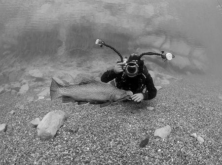 Mark with Hookie,Capernwray.10.5mm. by Derek Haslam 