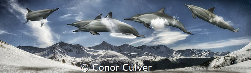 "Open Air Playground" part of my Underwater Surrealism se... by Conor Culver 