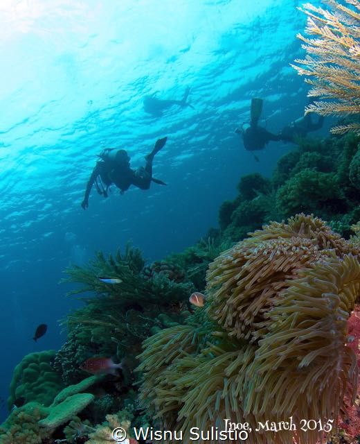 Bunaken by Wisnu Sulistio 