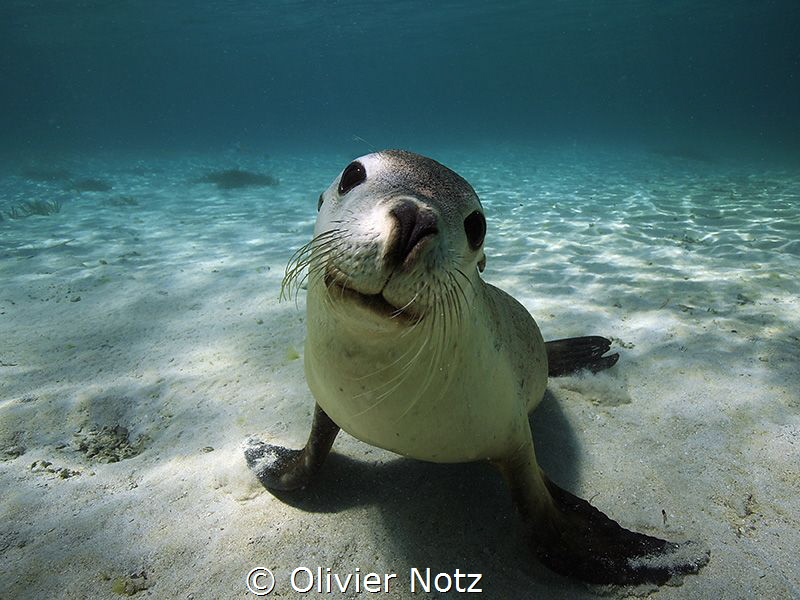 They lay down on the sand ground and waited that you woul... by Olivier Notz 
