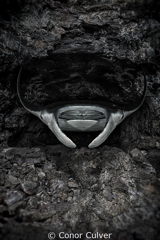 "The Devil Arises" part of my Underwater Surrealism serie... by Conor Culver 