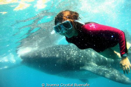 Say cheese!! gentle giant learn to do his selfie shot by Joanna Crystal Buenafe 