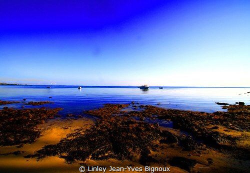 Roches Noires-NW Mauritius
Linley Jean-Yves Bignoux by Linley Jean-Yves Bignoux 