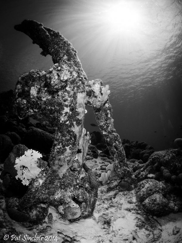 Beautiful Anchor on the top of Rock Pile Reef. by Patricia Sinclair 