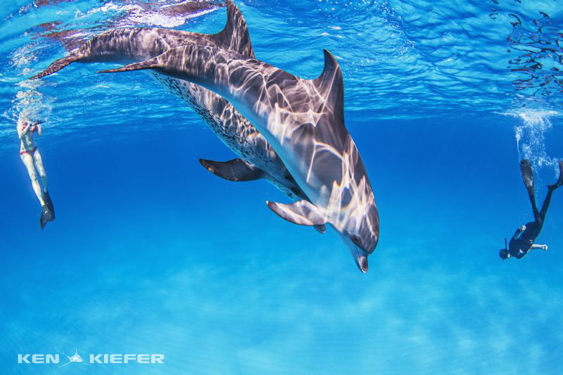 PlayTime by Ken Kiefer 