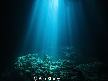 Natural Light!  Shot at Devil's Den in Williston, FL. by Ben Storey 