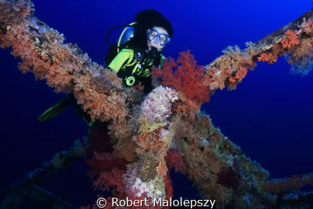 Numidia wreck Rrothers Isl. by Robert Malolepszy 
