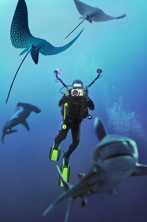 Nik D2x - COMPOSING>longimanus,rays,hammer -
well, that´... by Manfred Bail 