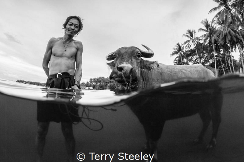 'Farmer and bull'. Dumaguete, Philippines.
—
Subal unde... by Terry Steeley 
