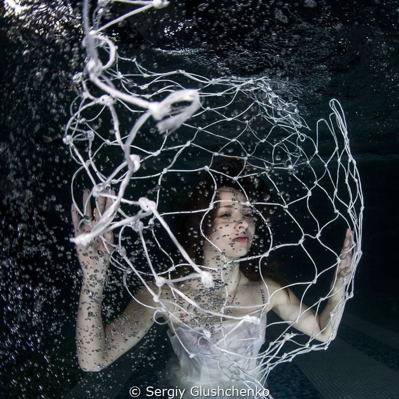 Network ... by Sergiy Glushchenko 