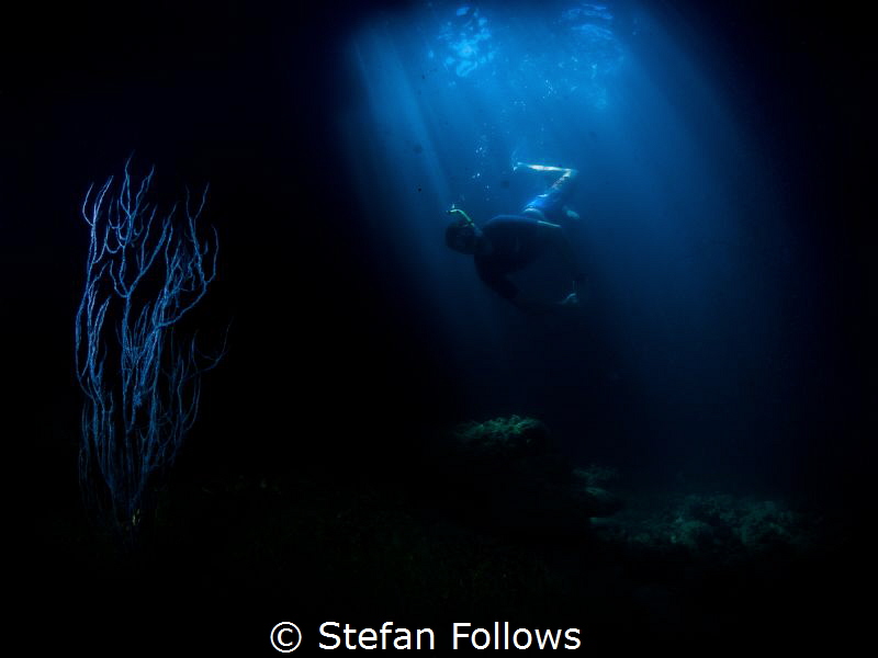 “I refuse to answer that question on the grounds that I d... by Stefan Follows 