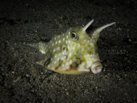 Kiss Me by Kf Leong 