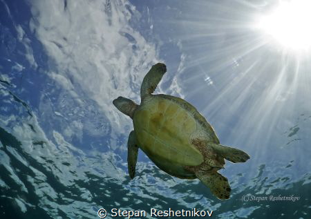 Soaring in the clouds by Stepan Reshetnikov 