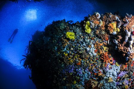 ~ Rainbow Reef ~ by Geo Cloete 