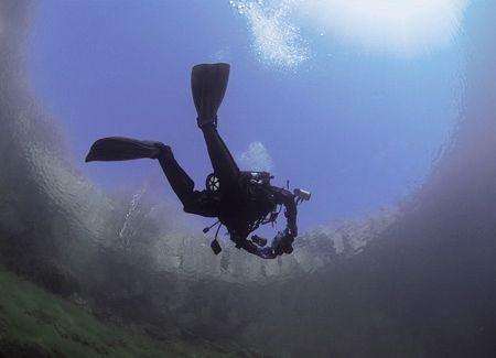 Frogman.
Capernwray.
16mm. Natural light. by Mark Thomas 