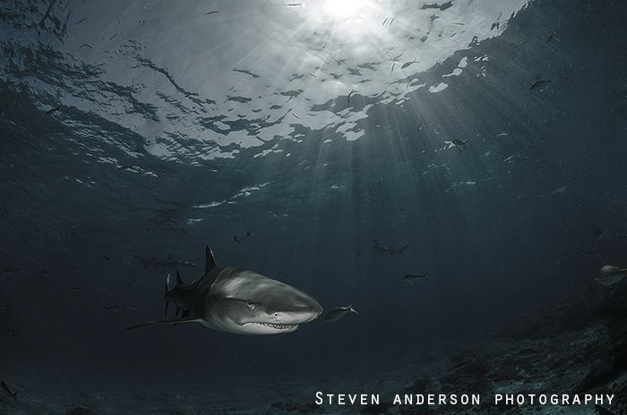 Let there be light!!! Another image taken during a safety... by Steven Anderson 