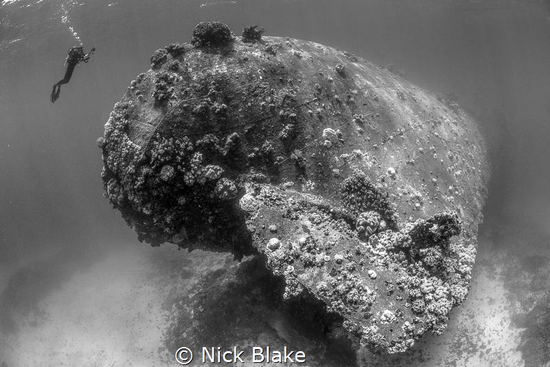 Stern view of the Gosei Maru wreck, Truk Lagoon by Nick Blake 