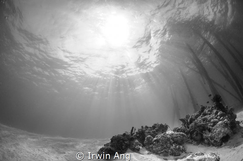 S U N B U R S T 
Black & White 
Pom Pom Island (Sabah),... by Irwin Ang 