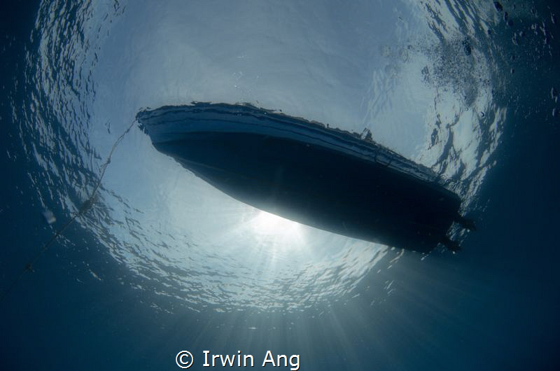 Happy World Oceans Day by Irwin Ang 