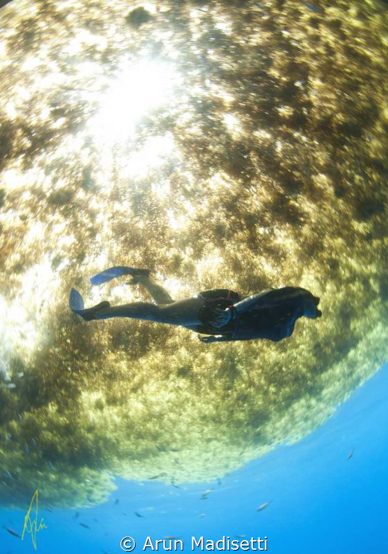 Offshore under the weed. by Arun Madisetti 