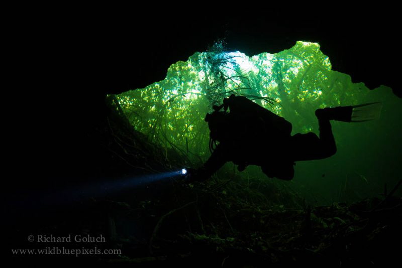 Cenote Tajma Ha-Mexico
 by Richard Goluch 