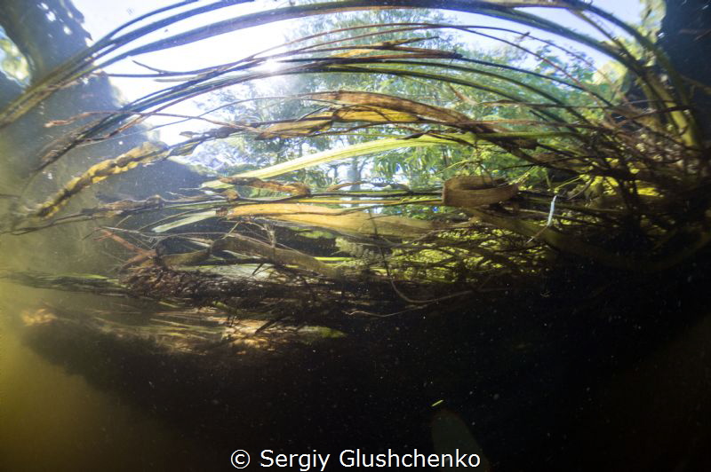 River Siverskii Donets by Sergiy Glushchenko 