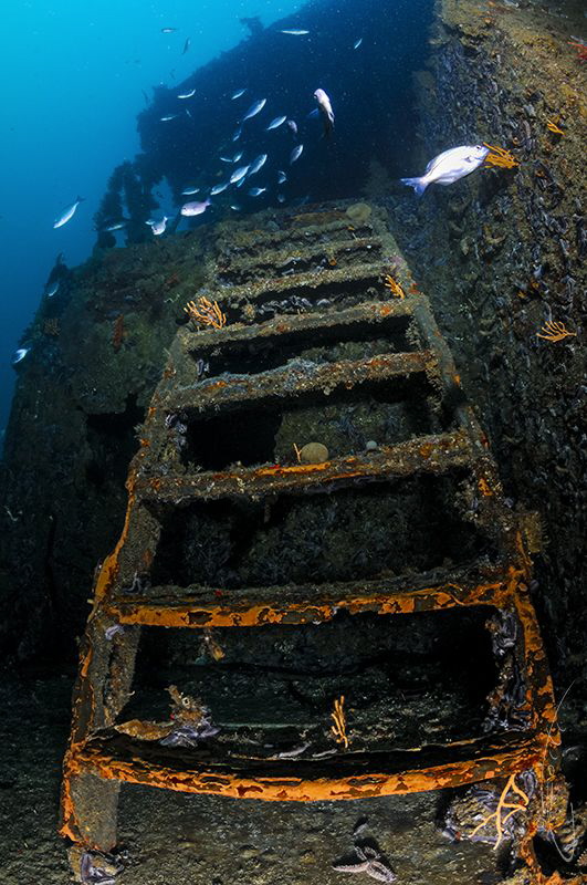 ~ Climb the Ladder ~ by Geo Cloete 