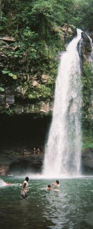 Watefall - Taveuni, Fiji by Morgan Ashton 