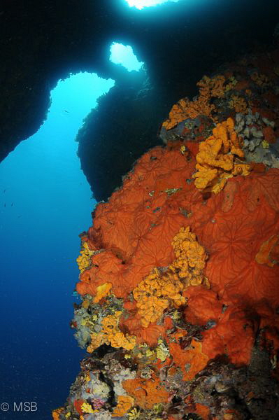 Colors from Sigacik, Seferihisar. by Mehmet Salih Bilal 