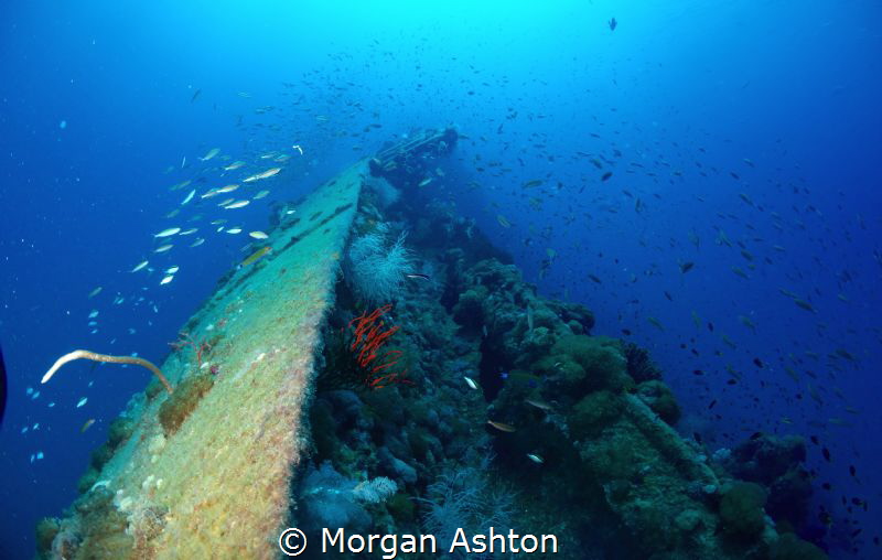 The hull of the SS Yongala
 by Morgan Ashton 