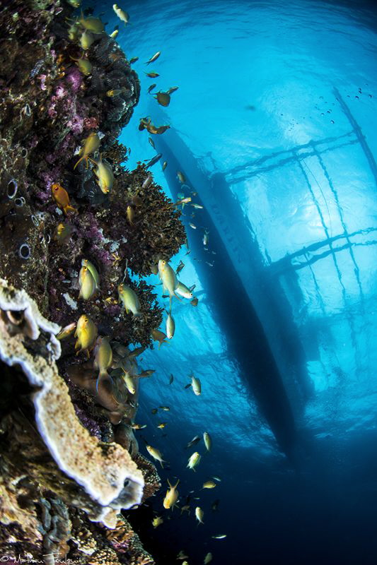 under the bangka (Pescador is.) by Mathieu Foulquié 