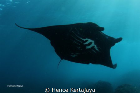 My initial M.... That is mean MANTA by Hence Kertajaya 