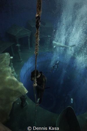 Freediving
Photo was taken on an Freediving Training. Pl... by Dennis Kasa 