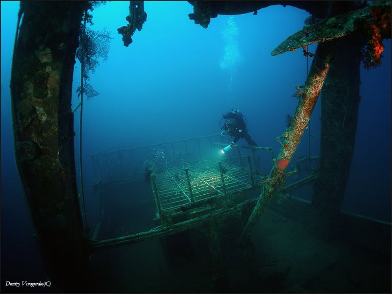 Trawler Mohamed Hasabella. Egypt, Hurgada. 
30 meters deep. by Dmitry Vinogradov 