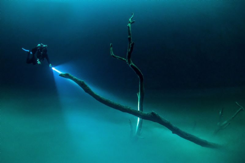 Angelita Cenote by Spencer Burrows 