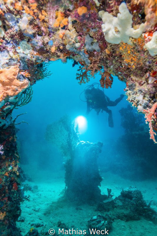 Coral arch with diver by Mathias Weck 
