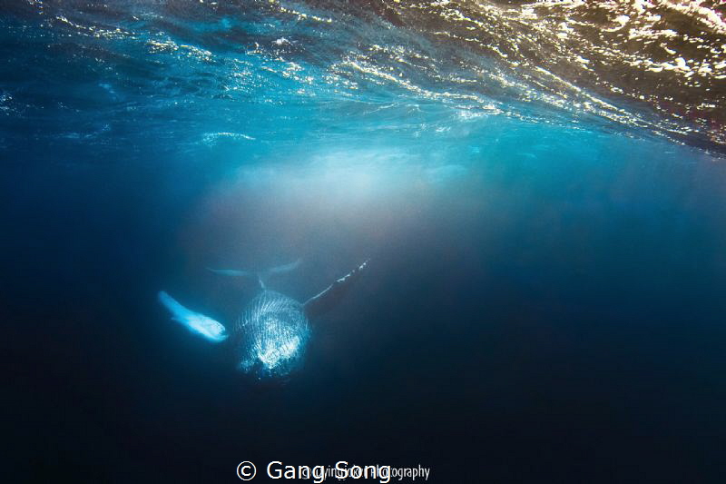 A breath away by Gang Song 