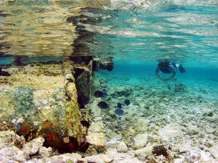Snorkelling a wreck on The Belize Barrier Reef. by Martin Spragg 