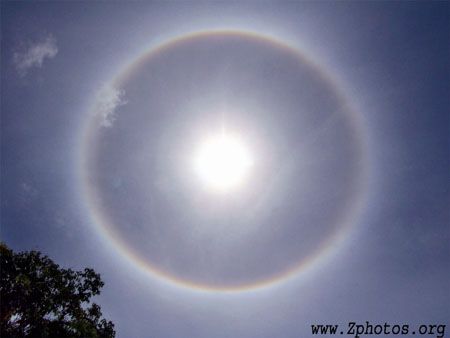 Saw a sun halo out just after getting home from diving. T... by Zaid Fadul 