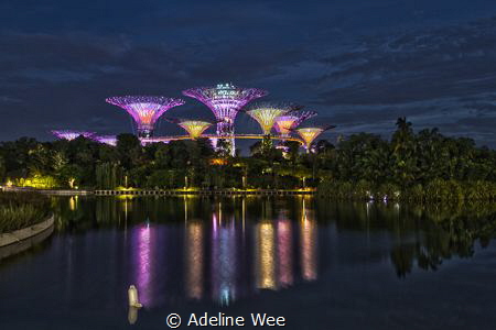 Tranquility & reflections by Adeline Wee 