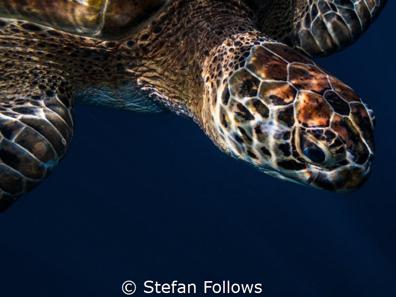 Exit Buddy ... Koh Similan, Thailand. Canon G10-f4-1100-i... by Stefan Follows 
