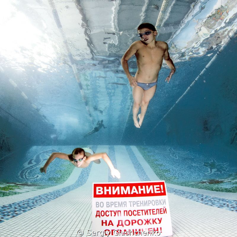 Swimmers by Sergiy Glushchenko 