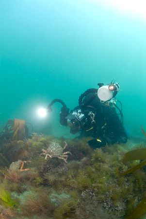 Watch out for those claws. Mr Thomas
North Wales. 10.5mm. by Derek Haslam 