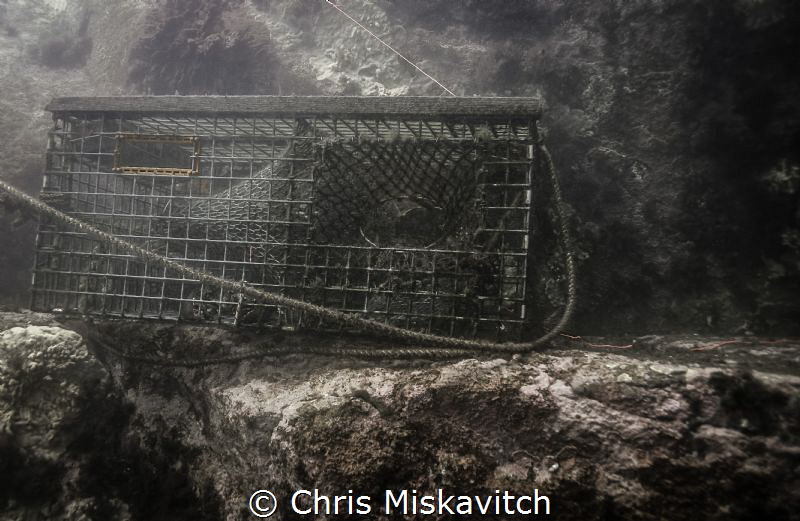 Typical sight of the coast of New England.....Lobster pot... by Chris Miskavitch 