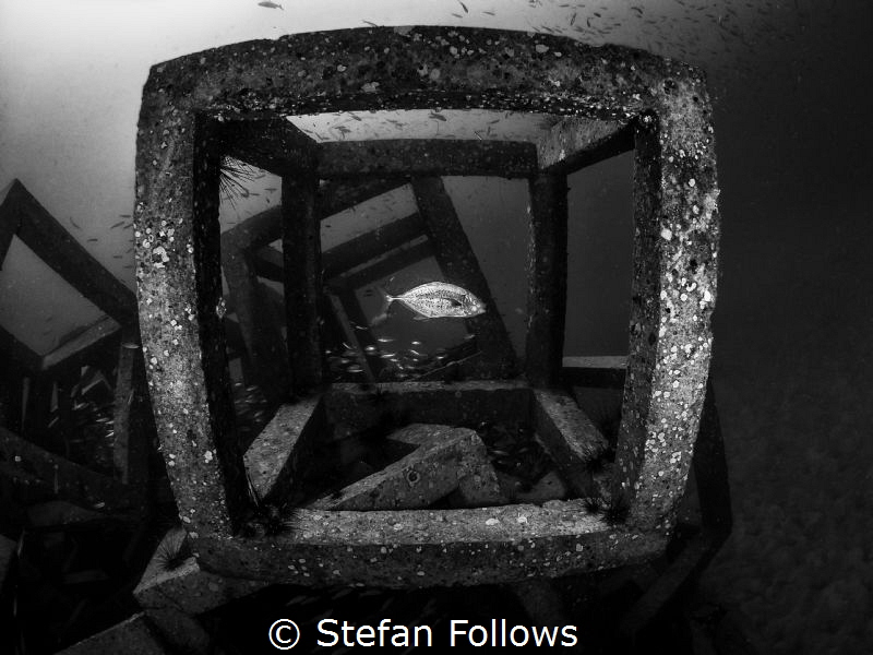Framed ... Sail Rock, Thailand-EM5-Panasonic 8mm-iso200-f... by Stefan Follows 