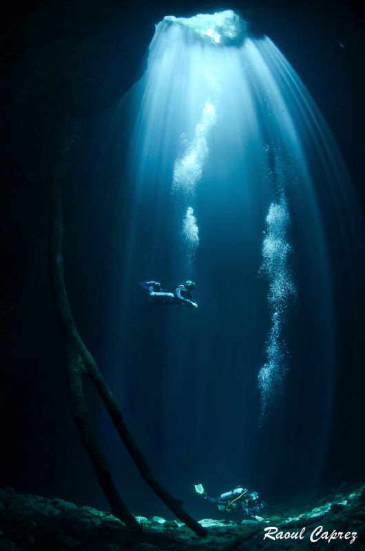 buddies in the light by Raoul Caprez 