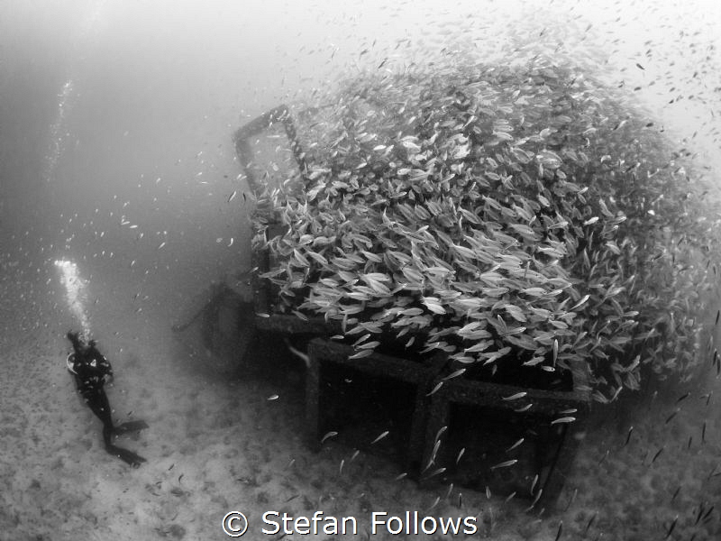 The Gathering. Sail Rock, Thailand-EM5-Panasonic 8mm-iso8... by Stefan Follows 
