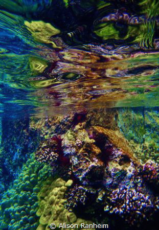 Captain Cook's Bay, Hawaii by Alison Ranheim 