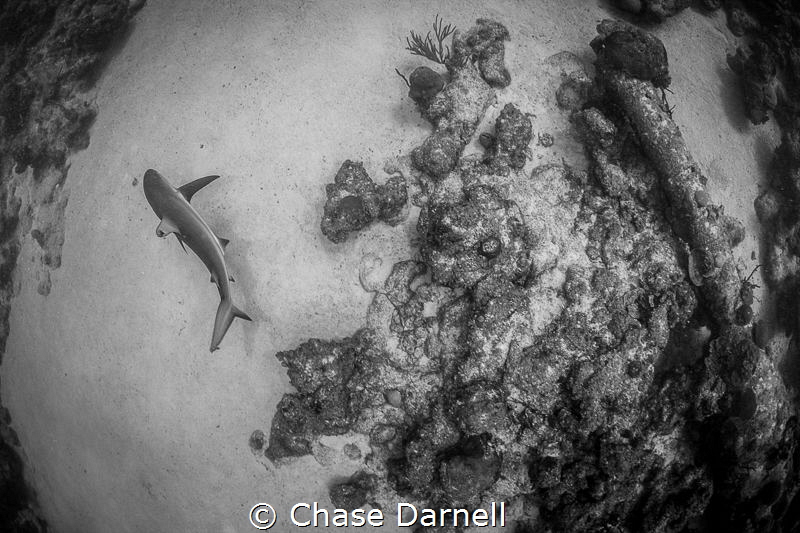 "Sand Driftin"
I love the separation the sand gives the ... by Chase Darnell 